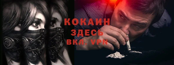 СК Елизово