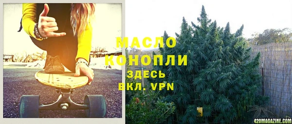 СК Елизово