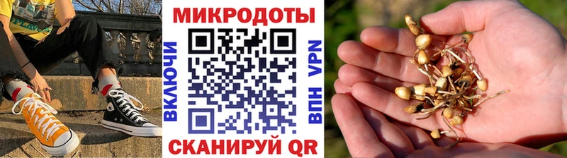 Псилоцибиновые грибы мицелий  Купить где  Исилькуль 
